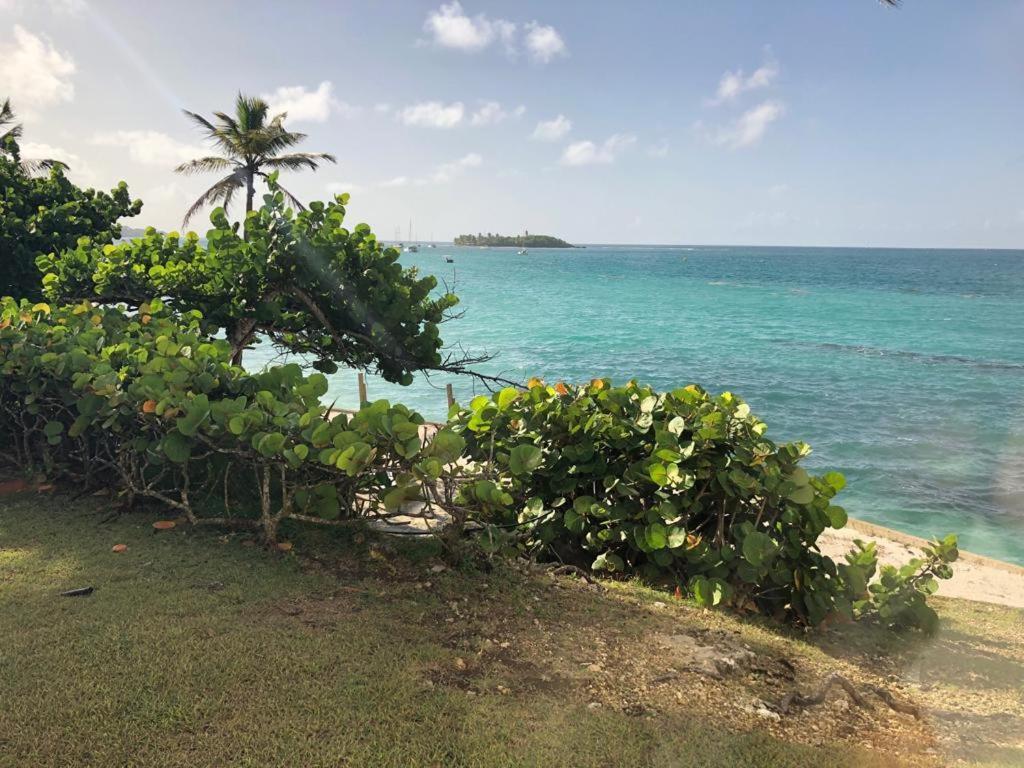 Beau Studio Lumineux Vue Mer Acces Plage Et Piscine Le Gosier  Exteriér fotografie