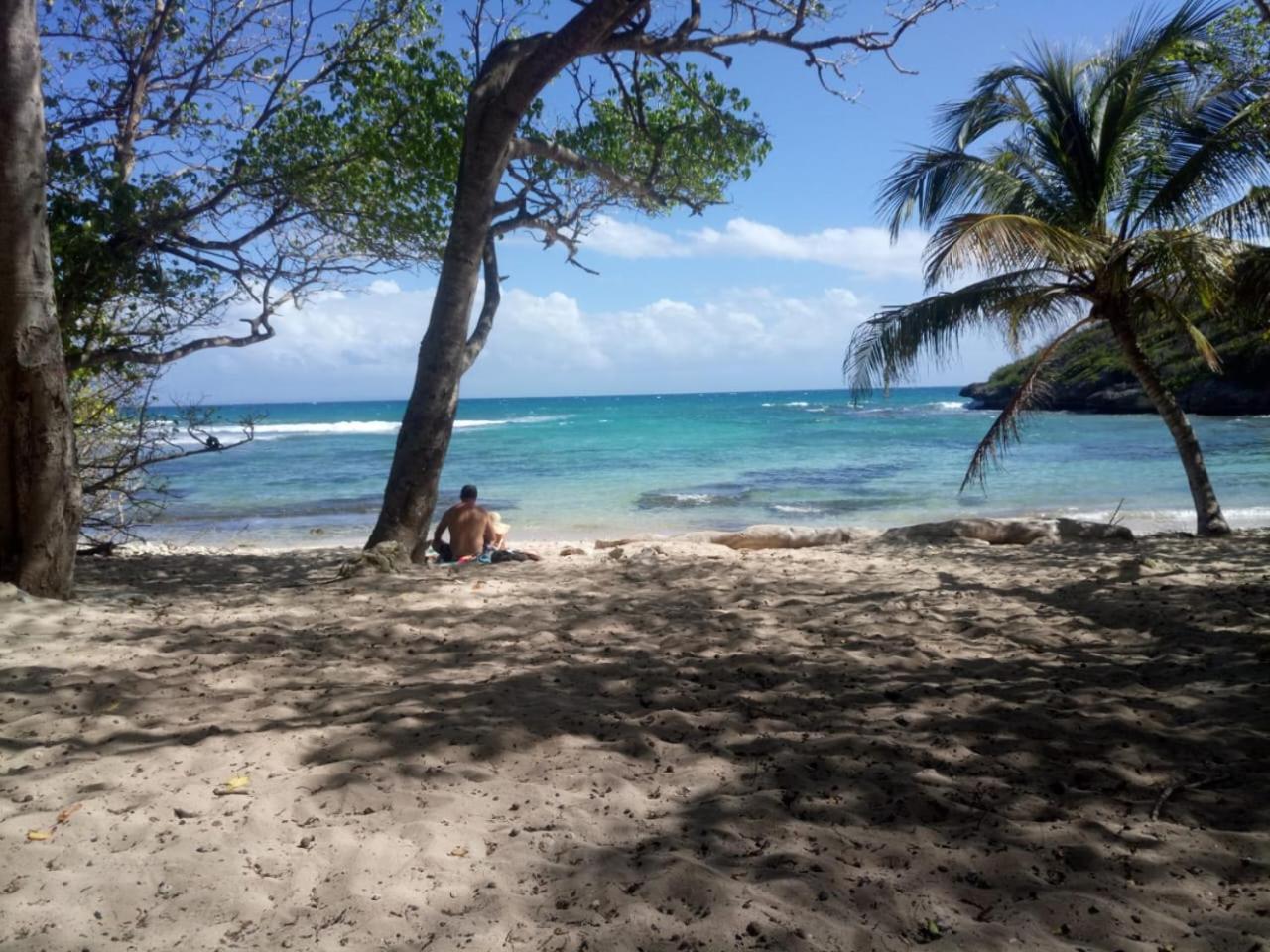 Beau Studio Lumineux Vue Mer Acces Plage Et Piscine Le Gosier  Exteriér fotografie